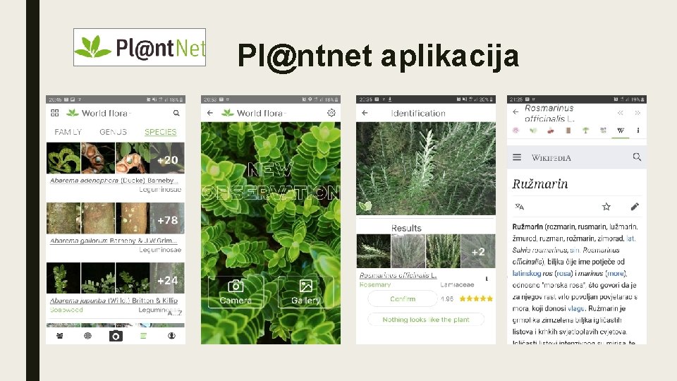 Pl@ntnet aplikacija 