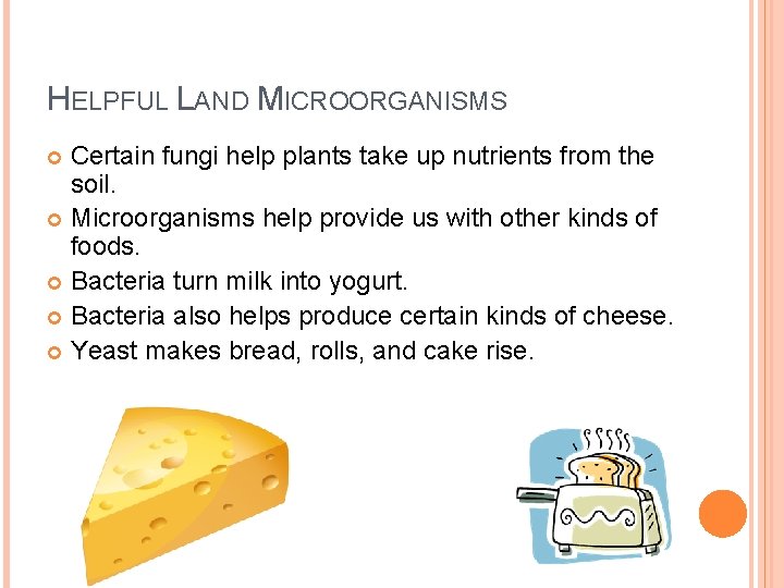 HELPFUL LAND MICROORGANISMS Certain fungi help plants take up nutrients from the soil. Microorganisms HELPFUL LAND MICROORGANISMS Certain fungi help plants take up nutrients from the soil. Microorganisms