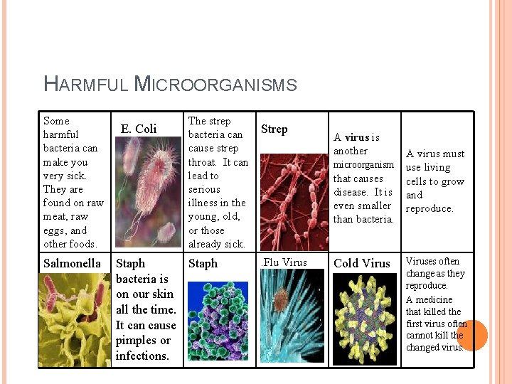 HARMFUL MICROORGANISMS Some harmful bacteria can make you very sick. They are found on