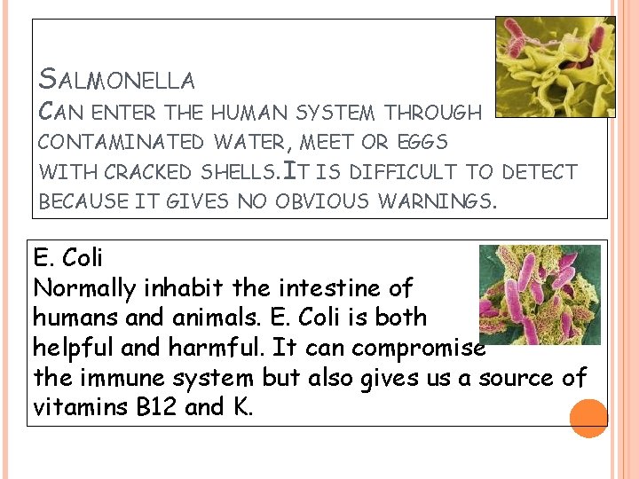 SALMONELLA CAN ENTER THE HUMAN SYSTEM THROUGH CONTAMINATED WATER, MEET OR EGGS WITH CRACKED