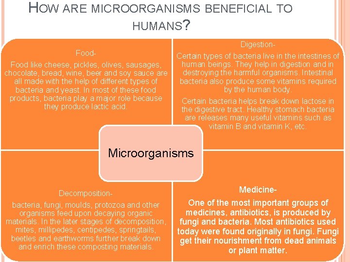 HOW ARE MICROORGANISMS BENEFICIAL TO HUMANS? Food like cheese, pickles, olives, sausages, chocolate, bread,