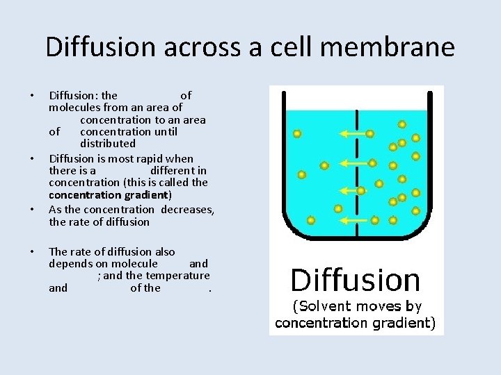 Diffusion across a cell membrane • • Diffusion: the of molecules from an area