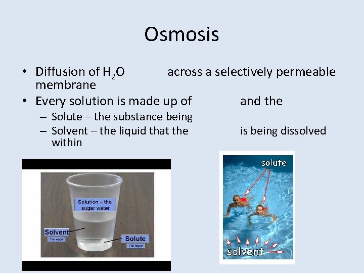 Osmosis • Diffusion of H 2 O across a selectively permeable membrane • Every