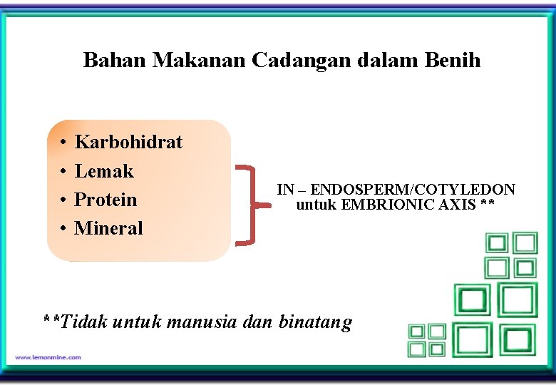 Bahan Makanan Cadangan dalam Benih • • Karbohidrat Lemak Protein Mineral IN – ENDOSPERM/COTYLEDON