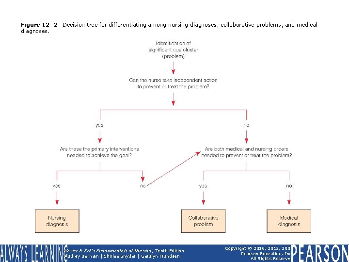 Figure 12– 2 diagnoses. Decision tree for differentiating among nursing diagnoses, collaborative problems, and