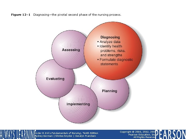 Figure 12– 1 Diagnosing—the pivotal second phase of the nursing process. Kozier & Erb's