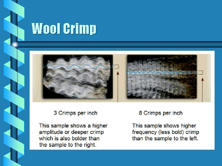 Wool Crimp 