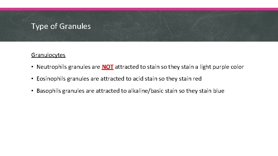 Type of Granules Granulocytes • Neutrophils granules are NOT attracted to stain so they