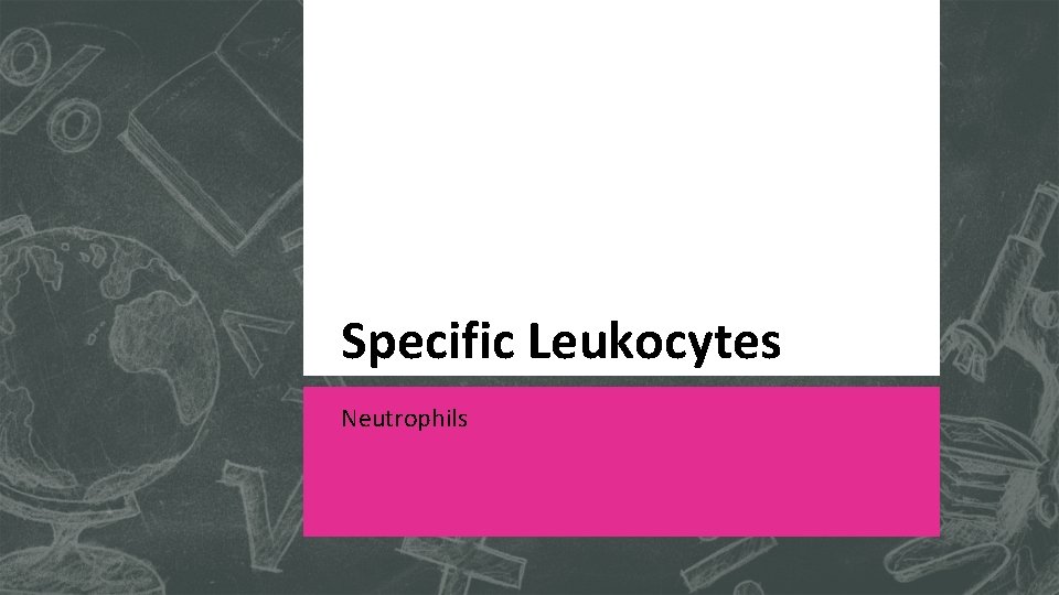 Specific Leukocytes Neutrophils 