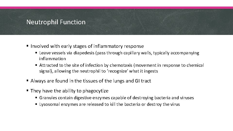 Neutrophil Function § Involved with early stages of inflammatory response § Leave vessels via