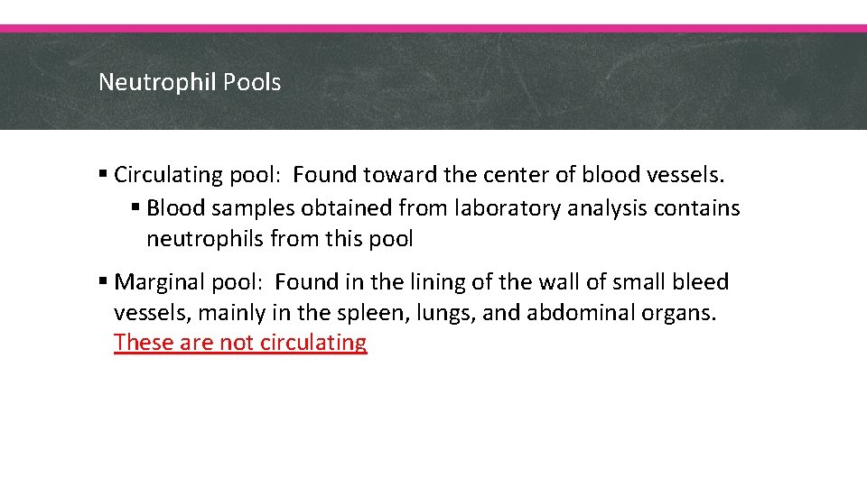 Neutrophil Pools § Circulating pool: Found toward the center of blood vessels. § Blood