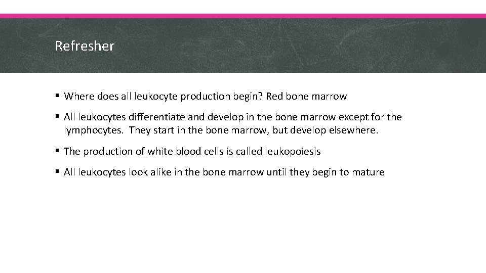 Refresher § Where does all leukocyte production begin? Red bone marrow § All leukocytes