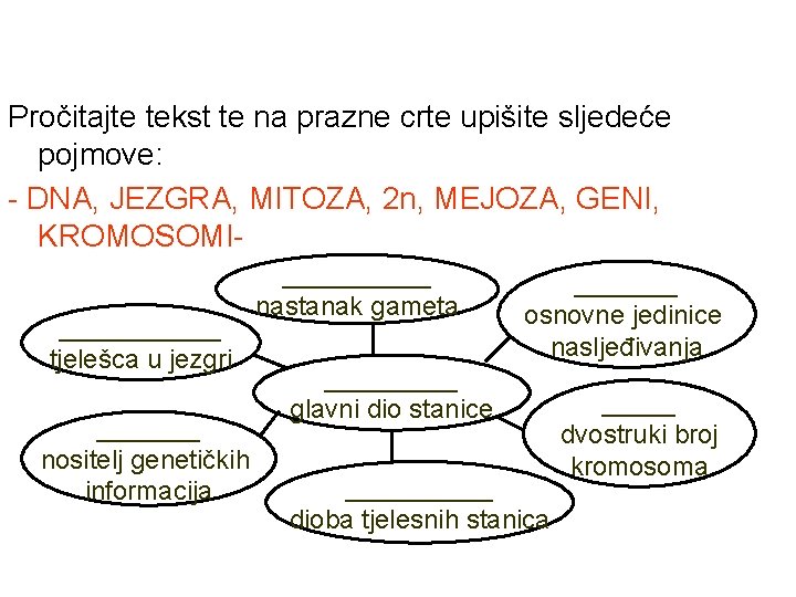 Pročitajte tekst te na prazne crte upišite sljedeće pojmove: - DNA, JEZGRA, MITOZA, 2