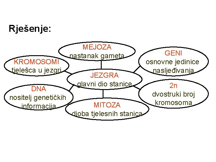 Rješenje: KROMOSOMI tjelešca u jezgri DNA nositelj genetičkih informacija MEJOZA nastanak gameta JEZGRA glavni