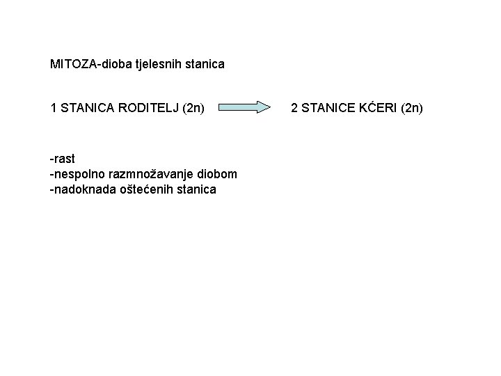 MITOZA-dioba tjelesnih stanica 1 STANICA RODITELJ (2 n) -rast -nespolno razmnožavanje diobom -nadoknada oštećenih