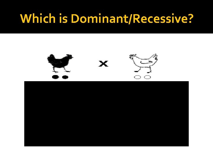 Which is Dominant/Recessive? 
