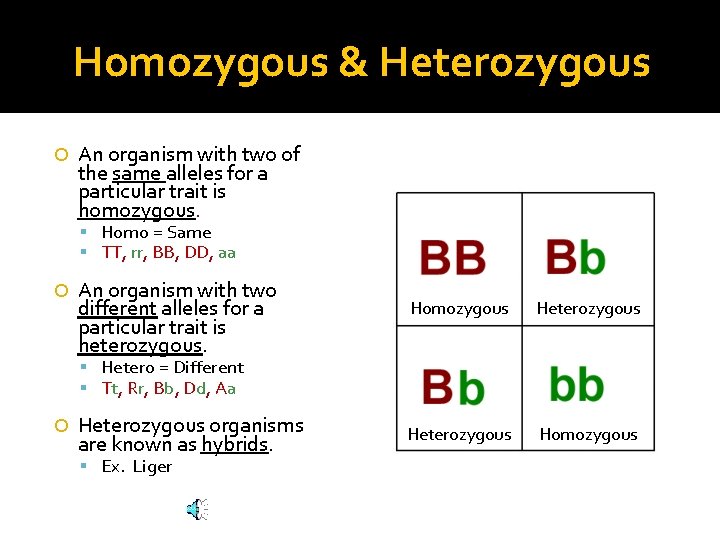 Homozygous & Heterozygous An organism with two of the same alleles for a particular