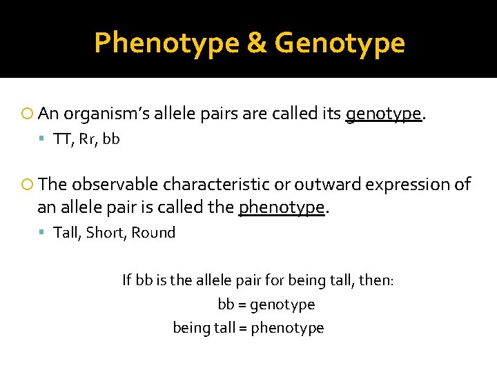 Phenotype & Genotype An organism’s allele pairs are called its genotype. TT, Rr, bb