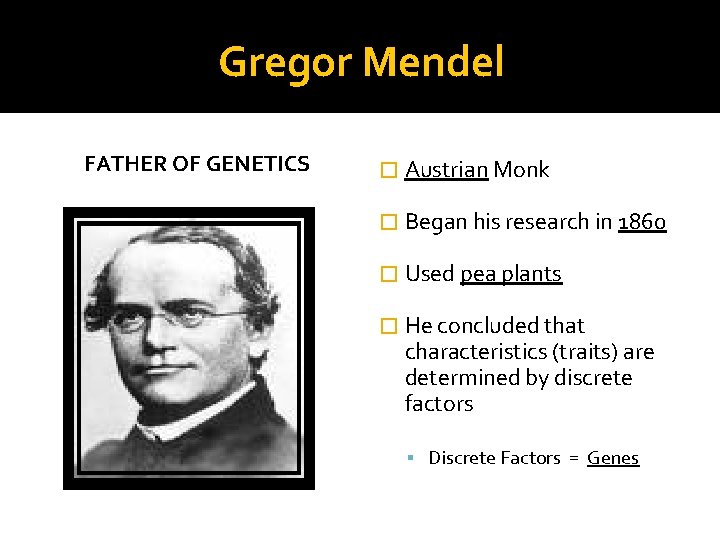 Gregor Mendel FATHER OF GENETICS � Austrian Monk � Began his research in 1860