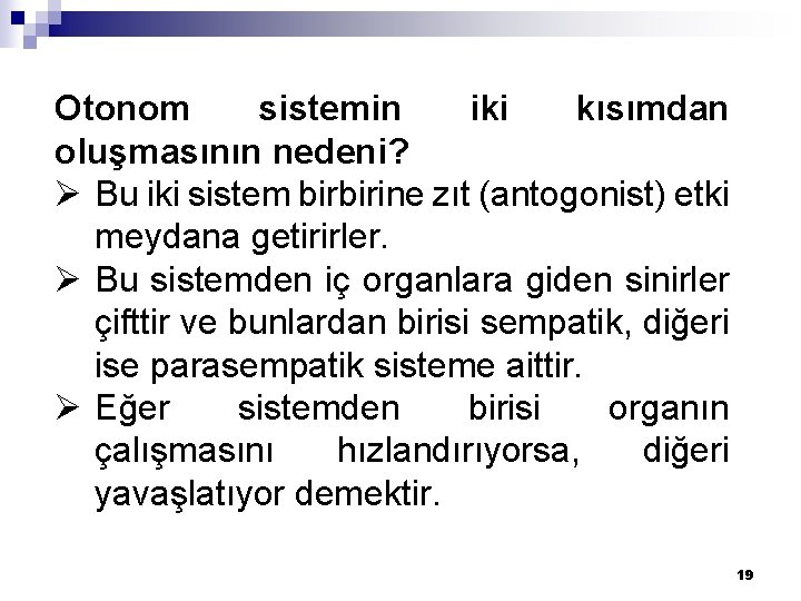 Otonom sistemin iki kısımdan oluşmasının nedeni? Ø Bu iki sistem birbirine zıt (antogonist) etki