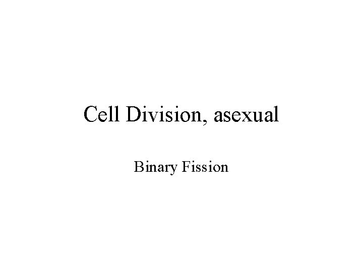 Cell Division, asexual Binary Fission 