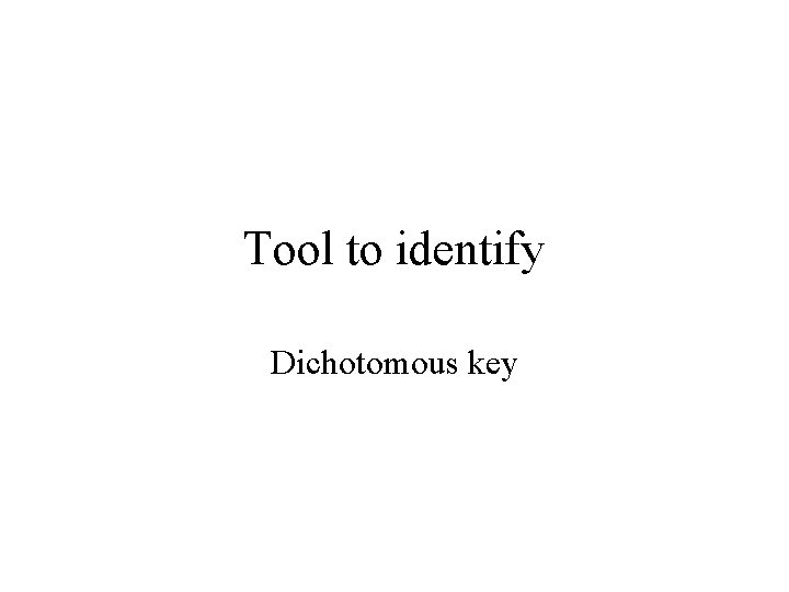 Tool to identify Dichotomous key 