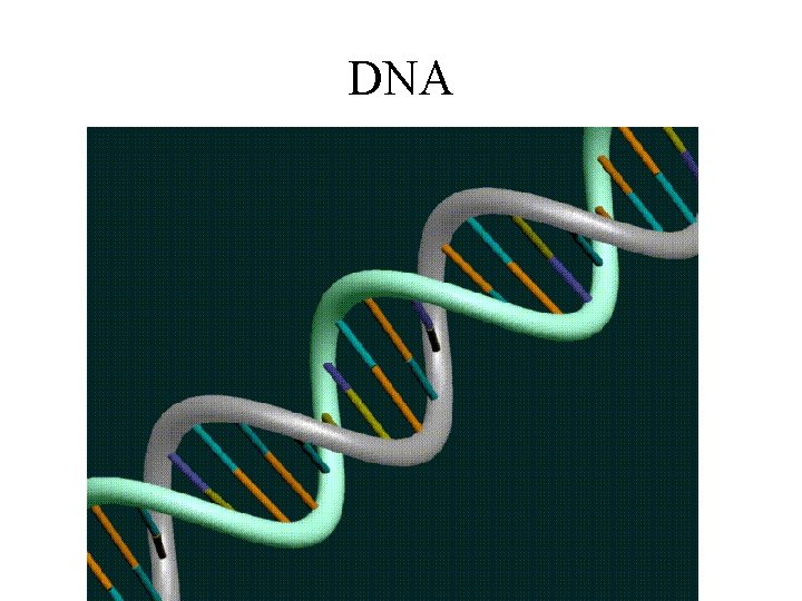 DNA 