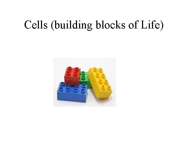 Cells (building blocks of Life) 