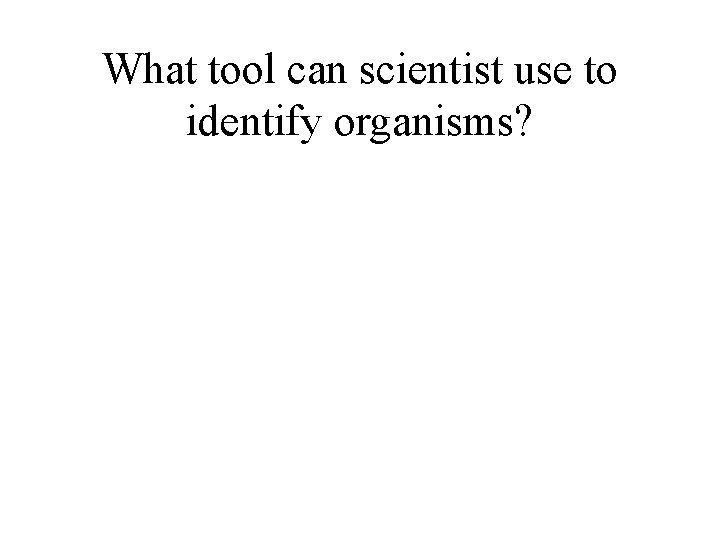 What tool can scientist use to identify organisms? 
