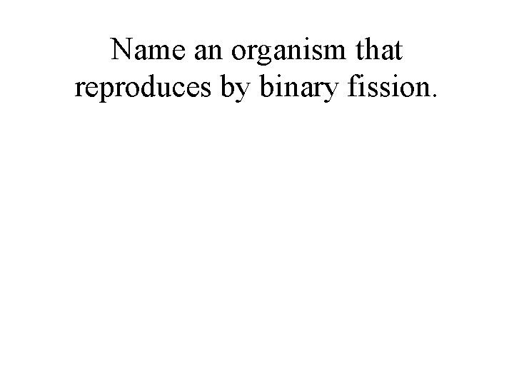 Name an organism that reproduces by binary fission. 