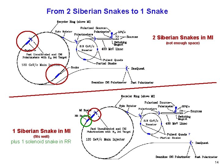From 2 Siberian Snakes to 1 Snake 2 Siberian Snakes in MI (not enough