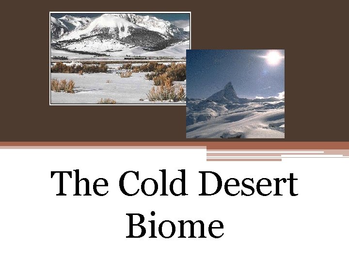 The Cold Desert Biome 
