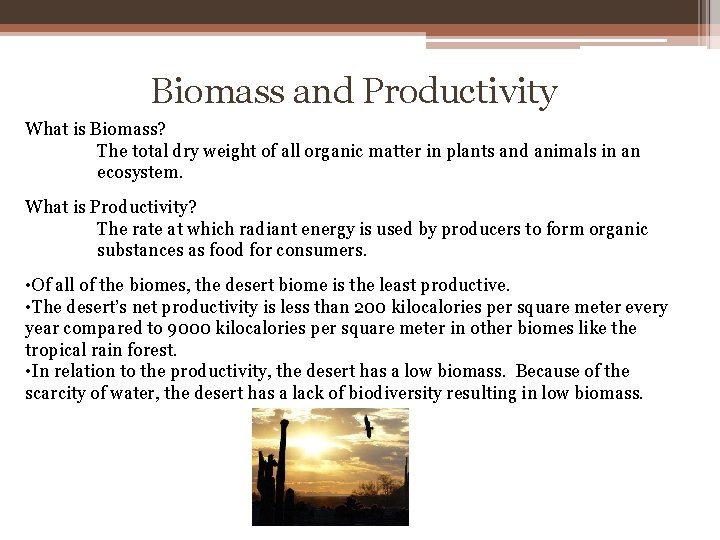 Biomass and Productivity What is Biomass? The total dry weight of all organic matter