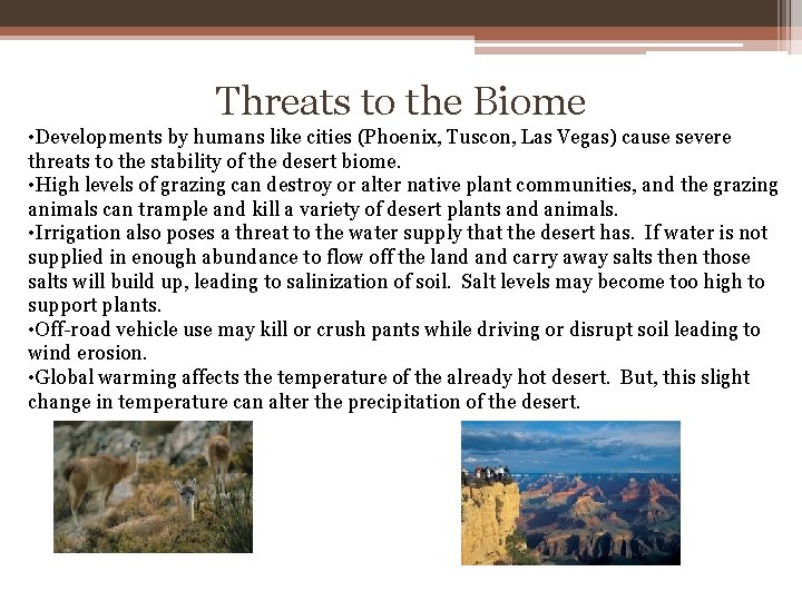 Threats to the Biome • Developments by humans like cities (Phoenix, Tuscon, Las Vegas)