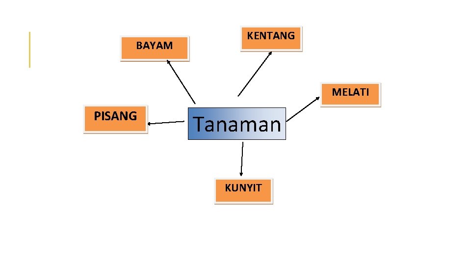 BAYAM KENTANG MELATI PISANG Tanaman KUNYIT 