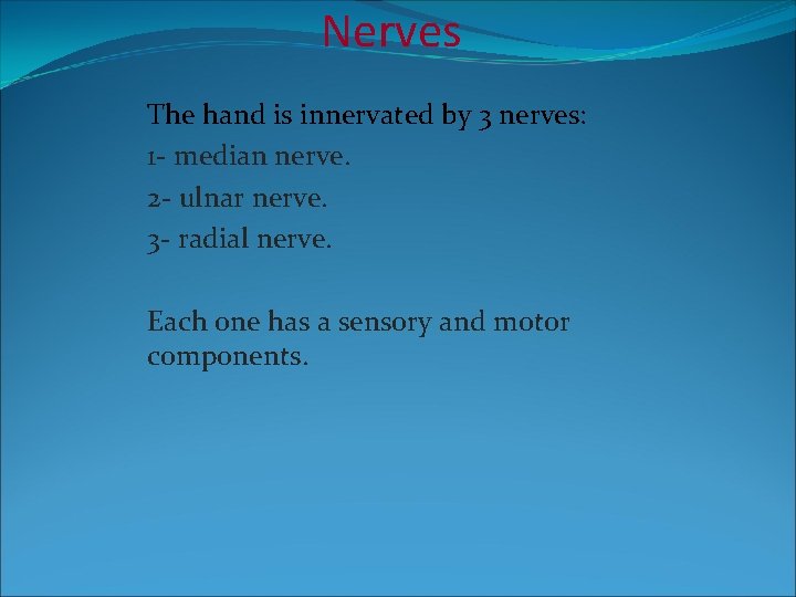 Nerves The hand is innervated by 3 nerves: 1 - median nerve. 2 -