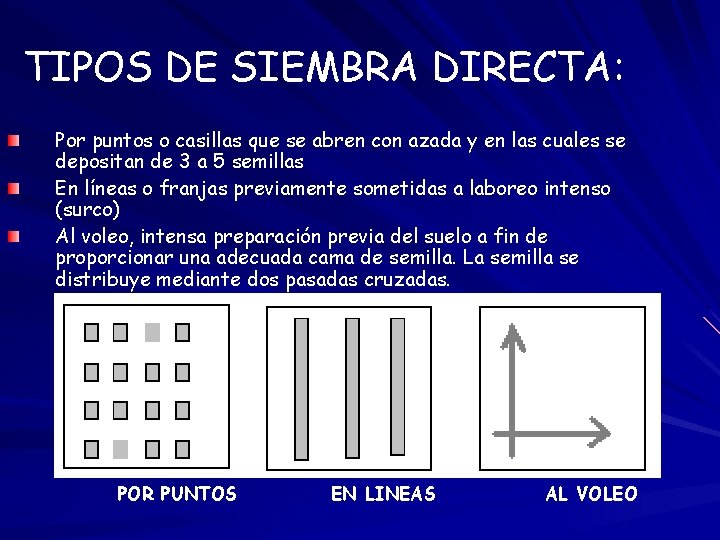 TIPOS DE SIEMBRA DIRECTA: Por puntos o casillas que se abren con azada y