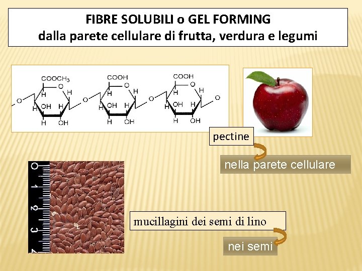 FIBRE SOLUBILI o GEL FORMING dalla parete cellulare di frutta, verdura e legumi pectine