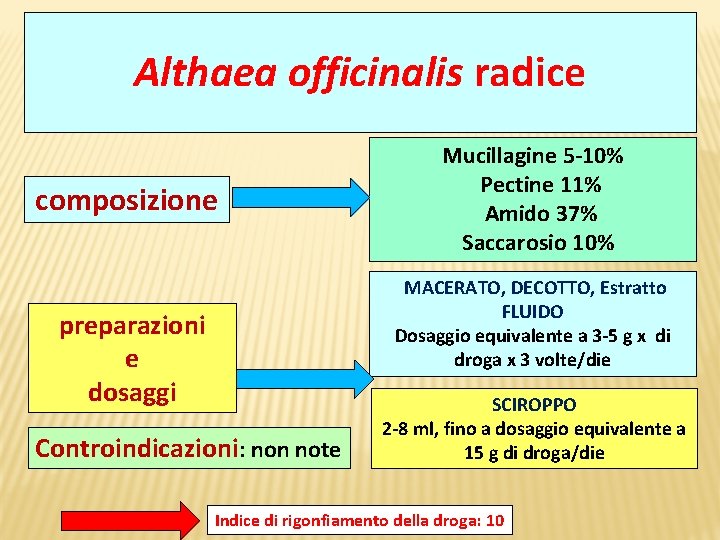 Althaea officinalis radice composizione Mucillagine 5 -10% Pectine 11% Amido 37% Saccarosio 10% MACERATO,