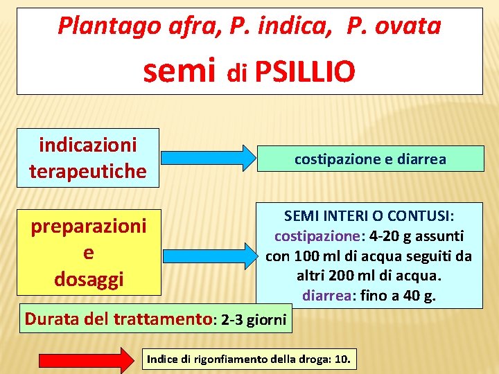 Plantago afra, P. indica, P. ovata semi di PSILLIO indicazioni terapeutiche costipazione e diarrea