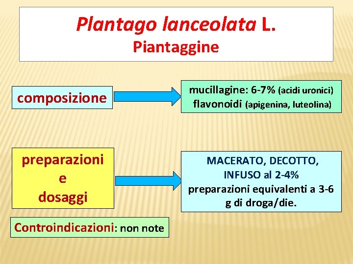 Plantago lanceolata L. Piantaggine composizione mucillagine: 6 -7% (acidi uronici) flavonoidi (apigenina, luteolina) preparazioni