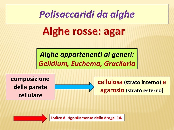 Polisaccaridi da alghe Alghe rosse: agar Alghe appartenenti ai generi: Gelidium, Euchema, Gracilaria composizione