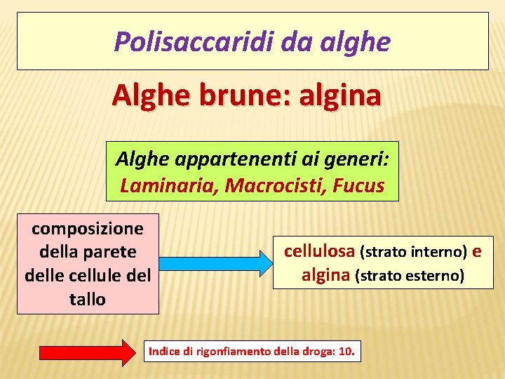 Polisaccaridi da alghe Alghe brune: algina Alghe appartenenti ai generi: Laminaria, Macrocisti, Fucus composizione