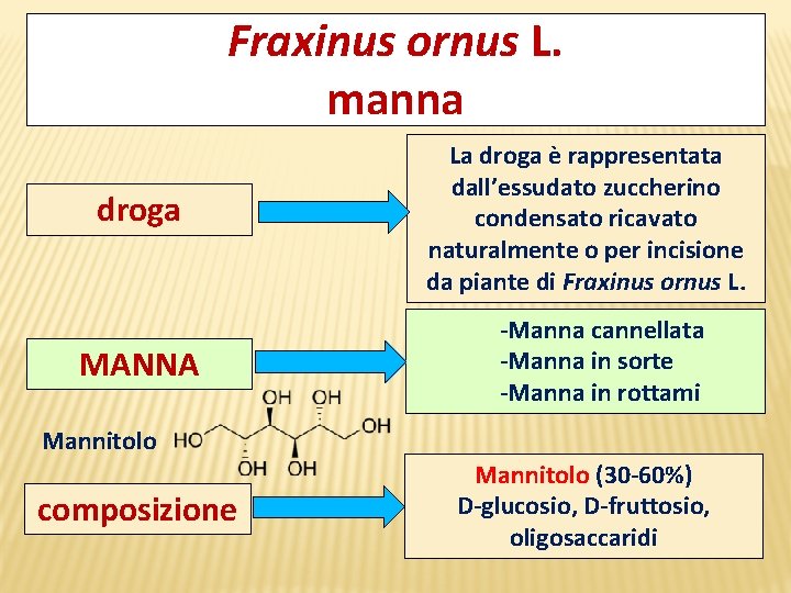 Fraxinus ornus L. manna droga MANNA La droga è rappresentata dall’essudato zuccherino condensato ricavato