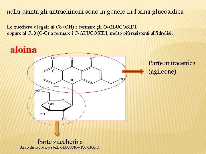 nella pianta gli antrachinoni sono in genere in forma glucosidica Lo zucchero è legata