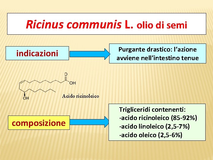 Ricinus communis L. olio di semi Purgante drastico: l’azione avviene nell’intestino tenue indicazioni Acido
