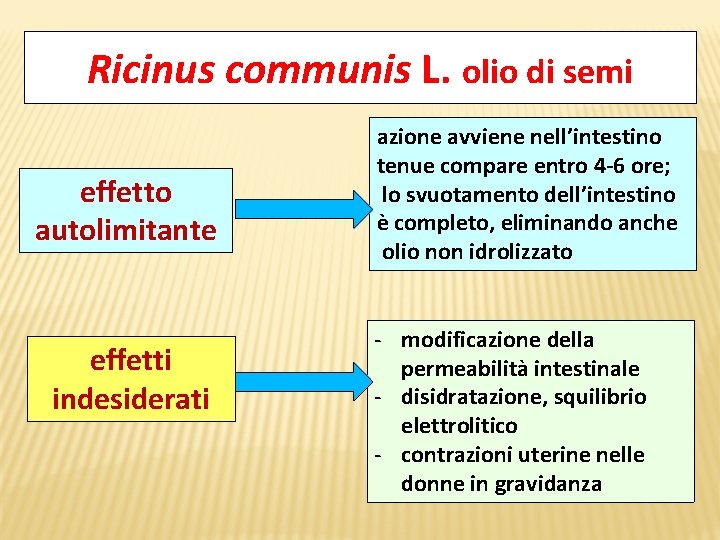 Ricinus communis L. olio di semi effetto autolimitante effetti indesiderati azione avviene nell’intestino tenue
