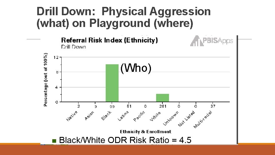 Drill Down: Physical Aggression (what) on Playground (where) (Who) 