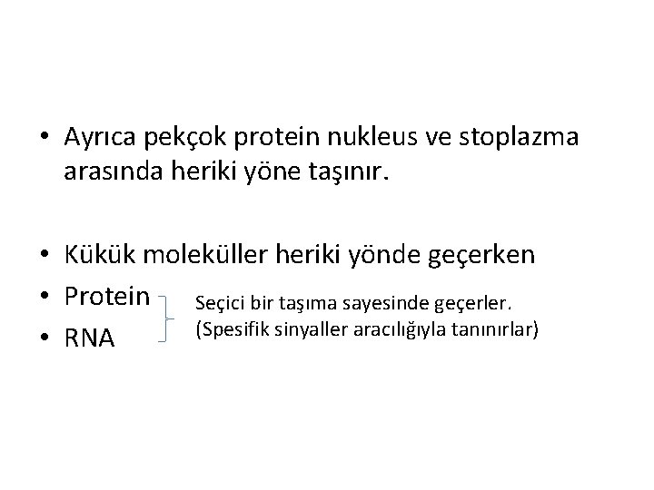  • Ayrıca pekçok protein nukleus ve stoplazma arasında heriki yöne taşınır. • Kükük