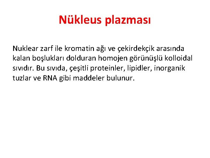 Nükleus plazması Nuklear zarf ile kromatin ağı ve çekirdekçik arasında kalan boşlukları dolduran homojen